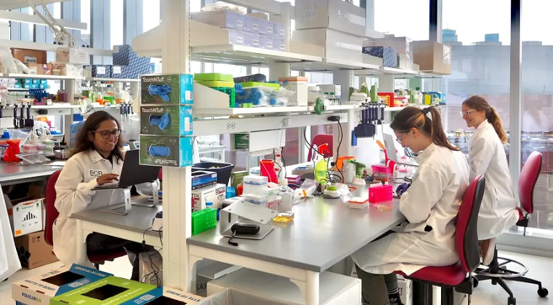 AI drug discovery startup Basecamp Research raises $140M